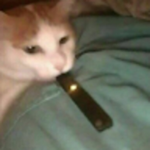 Meet your Posher, Hyper - Picture 1 of 1